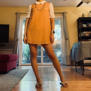 Peter Pan collar shirt dress